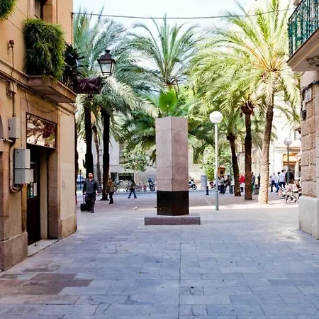 Canela Homes Barcelona Fontana-2